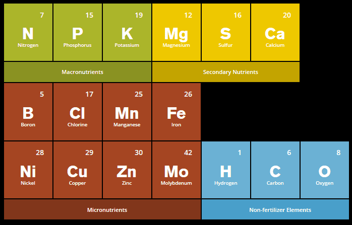 17-essential-elements plants black background
